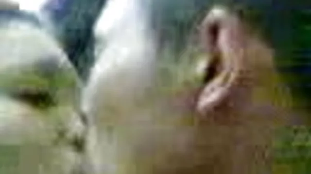 XXX hiçbir kayıt İstasyonda kızlar - tüylü ve traş mastürbasyon milf sikisi izle