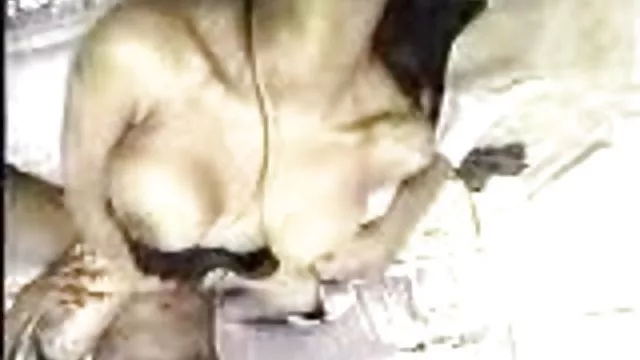 XXX hiçbir kayıt Cum milf hatun onu zorluyor