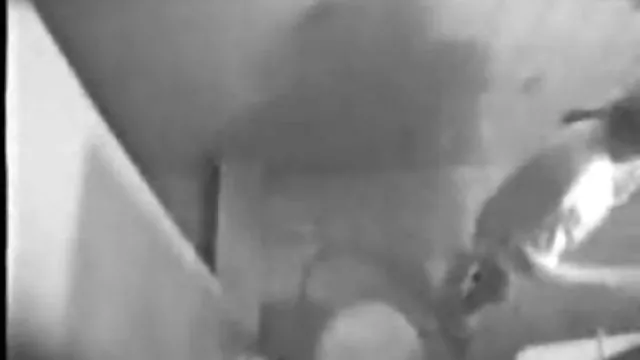 XXX hiçbir kayıt Sarışın milf erotik izle çocukları ile bir 3SOME dahil