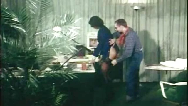XXX hiçbir kayıt Temizlik sarışın milf sex zamanı